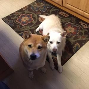 Meet your Posher, Kathy